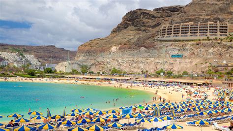 conocer gente en gran canaria|Amigos Las Palmas